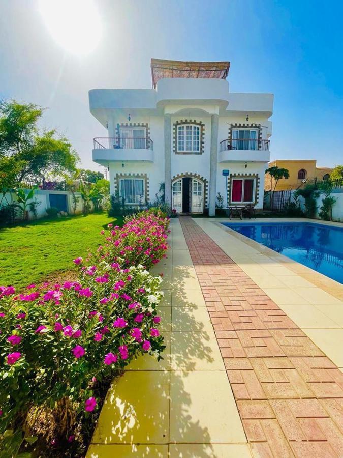 Ali Luxury Villa Luxor Buitenkant foto