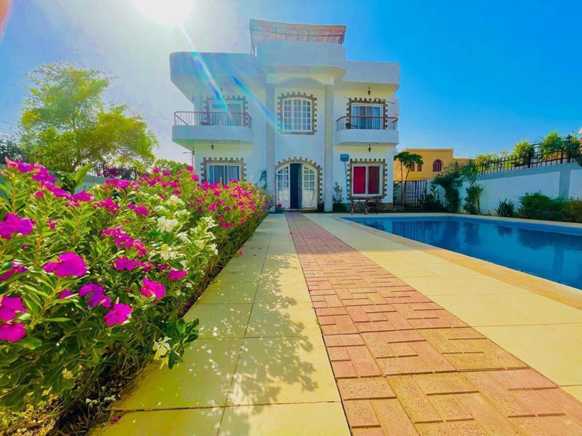 Ali Luxury Villa Luxor Buitenkant foto